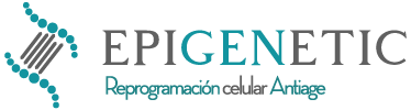 Epigenetic